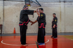 SUOB ION BI RYU