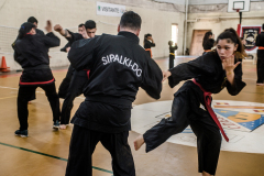 SUOB ION BI RYU