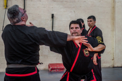 SUOB ION BI RYU