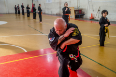 SUOB ION BI RYU