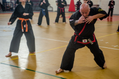 SUOB ION BI RYU