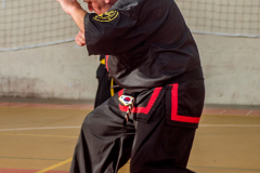 SUOB ION BI RYU
