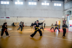 SUOB ION BI RYU