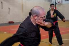 SUOB ION BI RYU