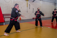 SUOB ION BI RYU