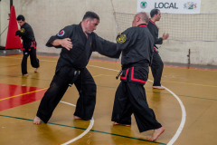 SUOB ION BI RYU
