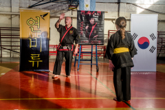 SUOB ION BI RYU