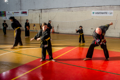 SUOB ION BI RYU