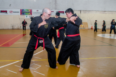 SUOB ION BI RYU