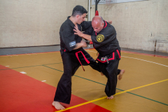 SUOB ION BI RYU
