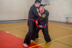 SUOB ION BI RYU