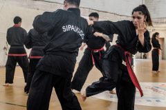 SUOB ION BI RYU