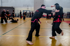 SUOB ION BI RYU