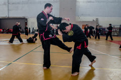 SUOB ION BI RYU