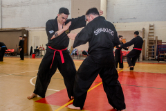 SUOB ION BI RYU