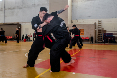 SUOB ION BI RYU