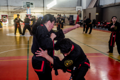 SUOB ION BI RYU