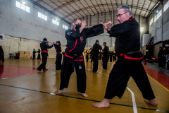 SUOB ION BI RYU