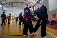 SUOB ION BI RYU