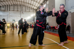 SUOB ION BI RYU