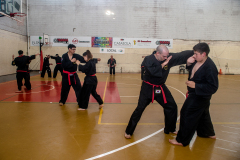 SUOB ION BI RYU