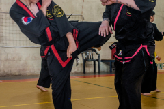 SUOB ION BI RYU
