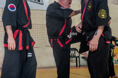 SUOB ION BI RYU