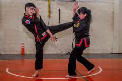 SUOB ION BI RYU