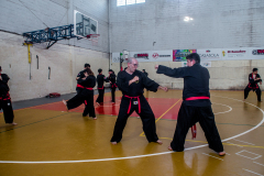 SUOB ION BI RYU