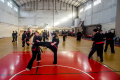 SUOB ION BI RYU