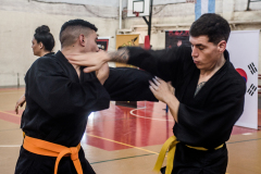 SUOB ION BI RYU