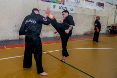 SUOB ION BI RYU