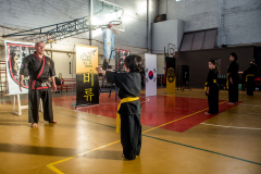 SUOB ION BI RYU