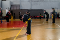 SUOB ION BI RYU