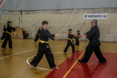 SUOB ION BI RYU