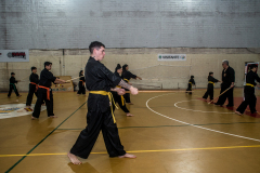 SUOB ION BI RYU