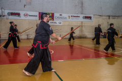 SUOB ION BI RYU