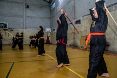 SUOB ION BI RYU
