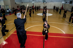 SUOB ION BI RYU
