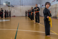 SUOB ION BI RYU