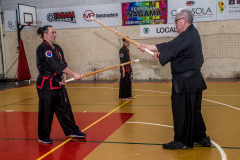 SUOB ION BI RYU