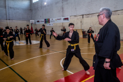 SUOB ION BI RYU