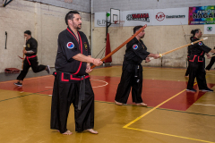SUOB ION BI RYU