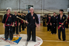 SUOB ION BI RYU