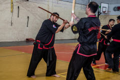SUOB ION BI RYU