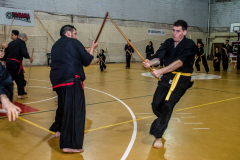 SUOB ION BI RYU