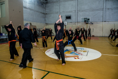 SUOB ION BI RYU