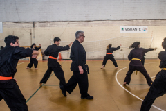 SUOB ION BI RYU