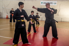 SUOB ION BI RYU