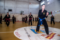SUOB ION BI RYU